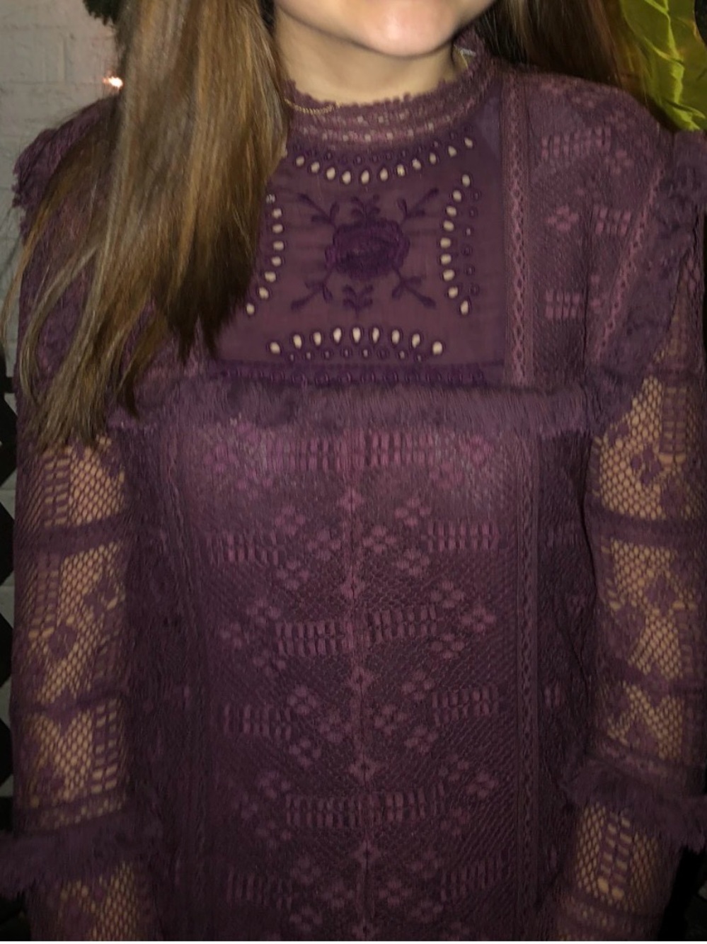 LoveShackFancy Burgundy Plum Lace Mini Dress - Picture 7 of 7